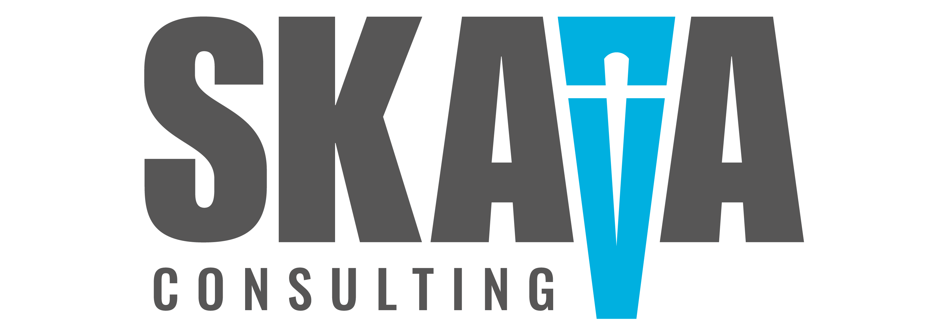 Skava Consulting